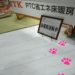 床暖房展示会in福島県郡山市